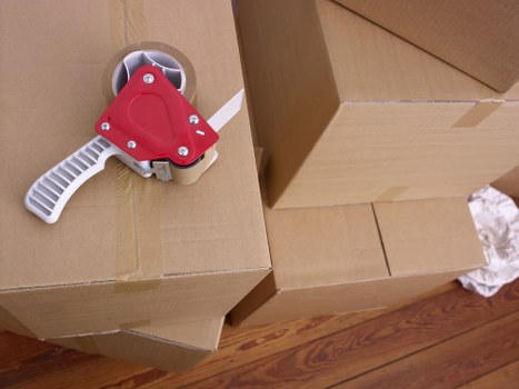 Professional man with van team completing a safe and insured move